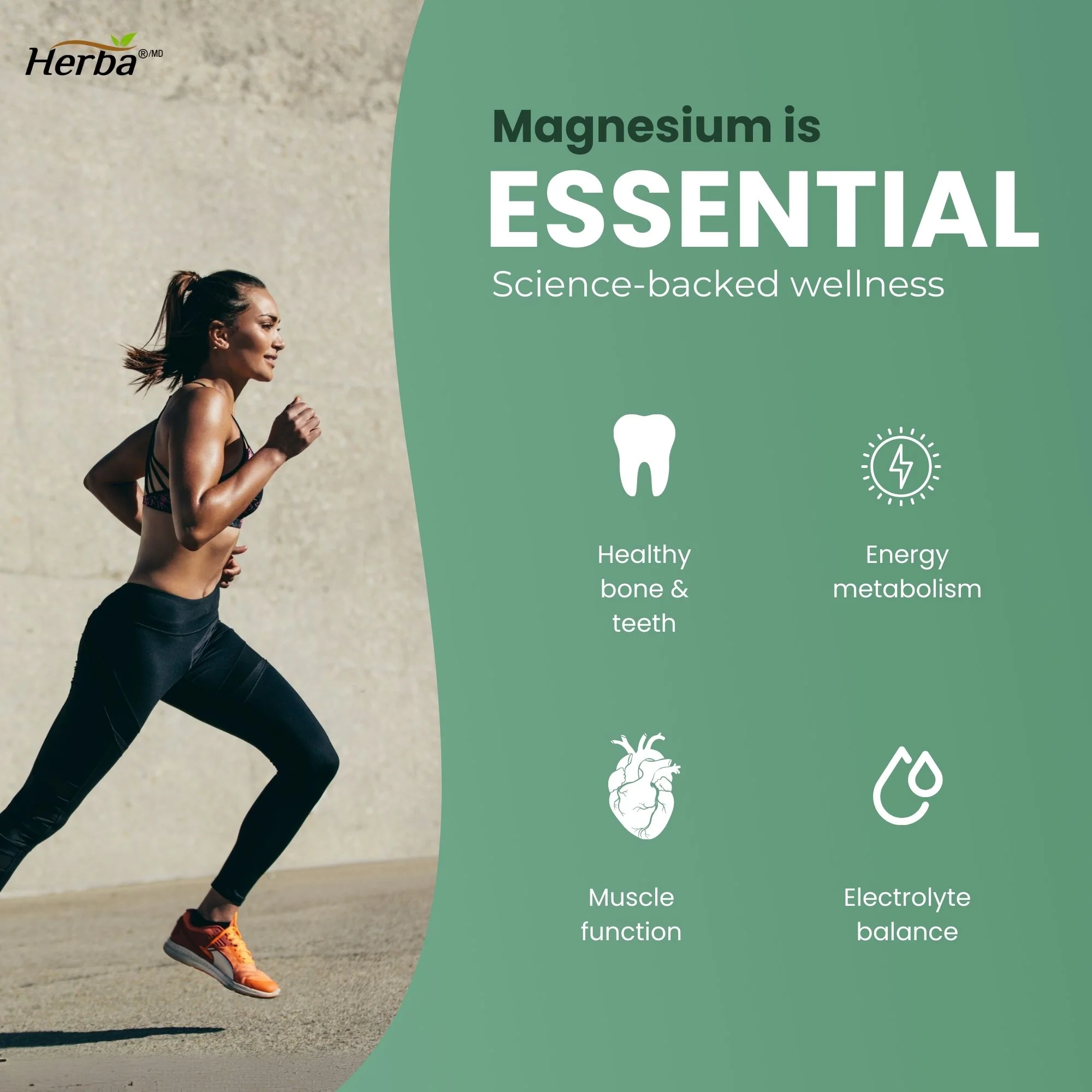 Magnesium Malate Powder 300g – 120 Servings | 4 Month Supply | 100% Pure Unflavoured Magnesium Malate | Made in Canada - Image 7