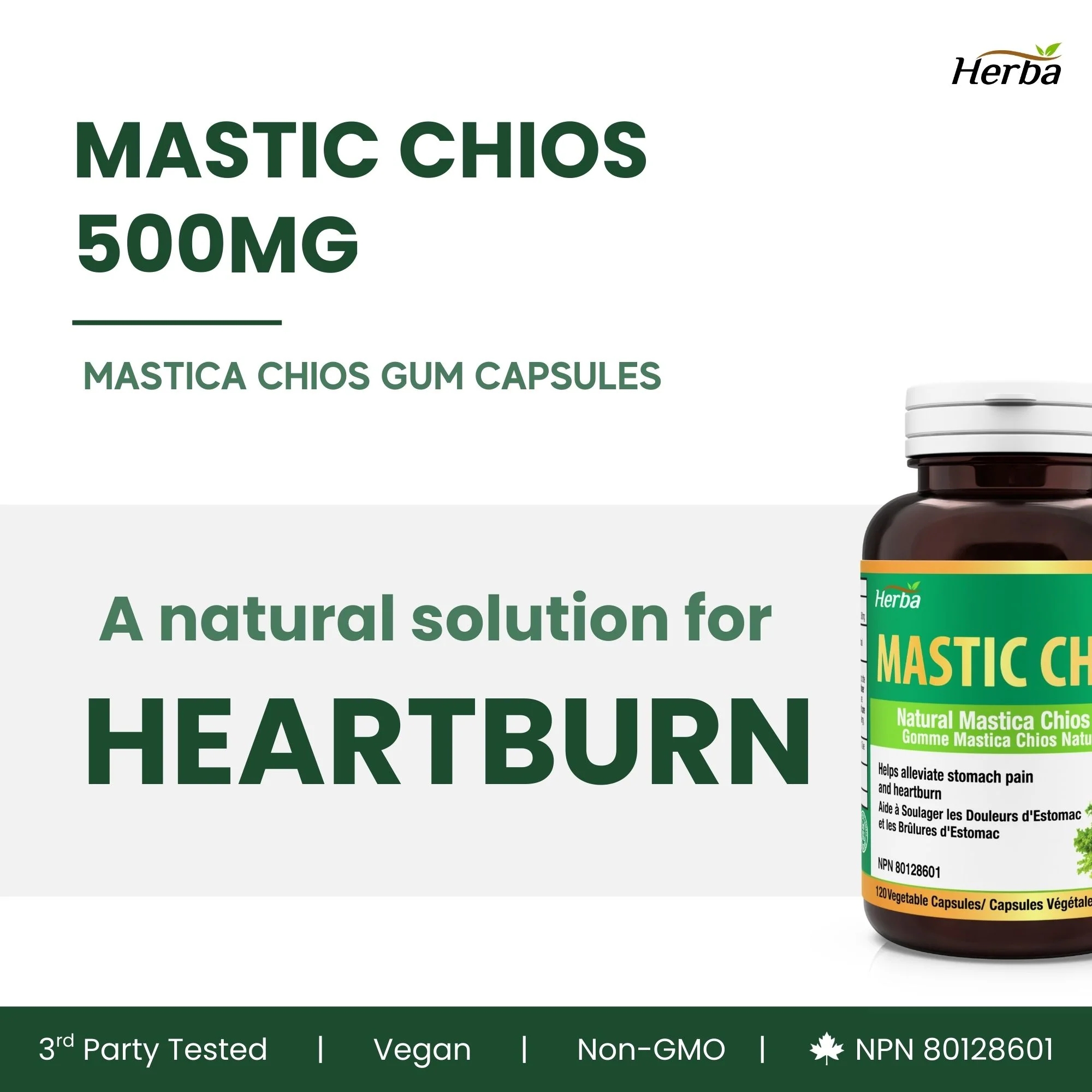 Mastic Gum 500mg - 120 Capsules | Made in Canada - Image 3