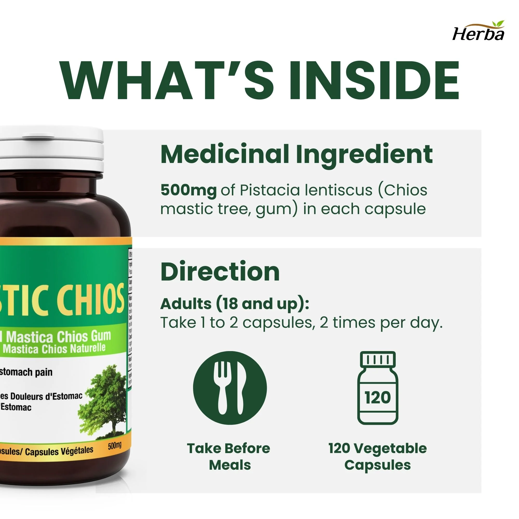 Mastic Gum 500mg - 120 Capsules | Made in Canada - Image 5