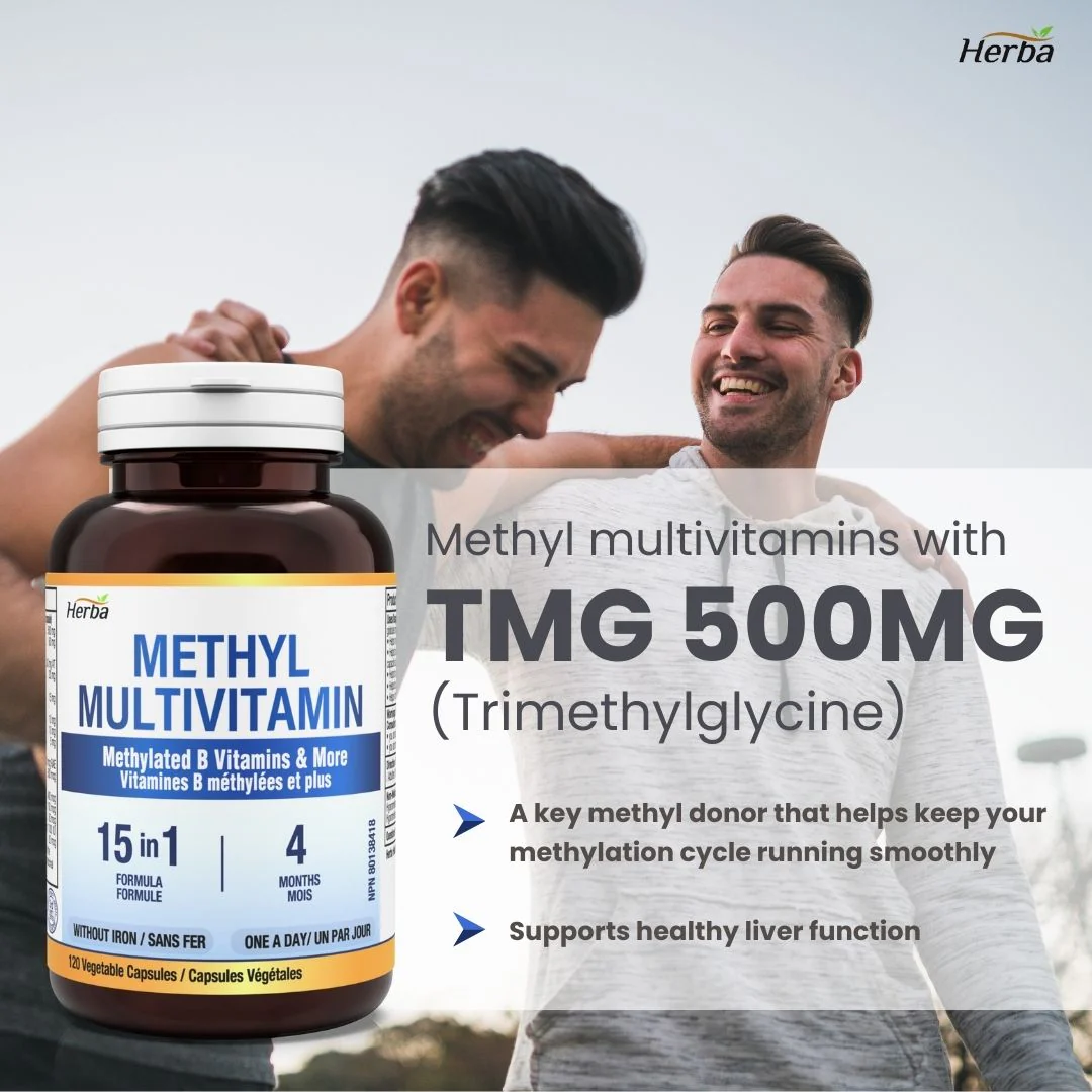 Methylated Multivitamin with TMG & Full Methylated B Complex - 120 Capsules | 15 in 1 Formula | Made in Canada - Image 6