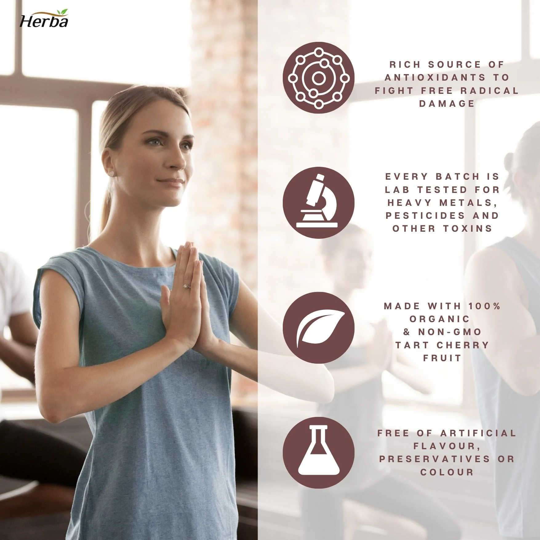 Montmorency Tart Cherry Powder – 150g | 100% Organic | Made in Canada - Image 6