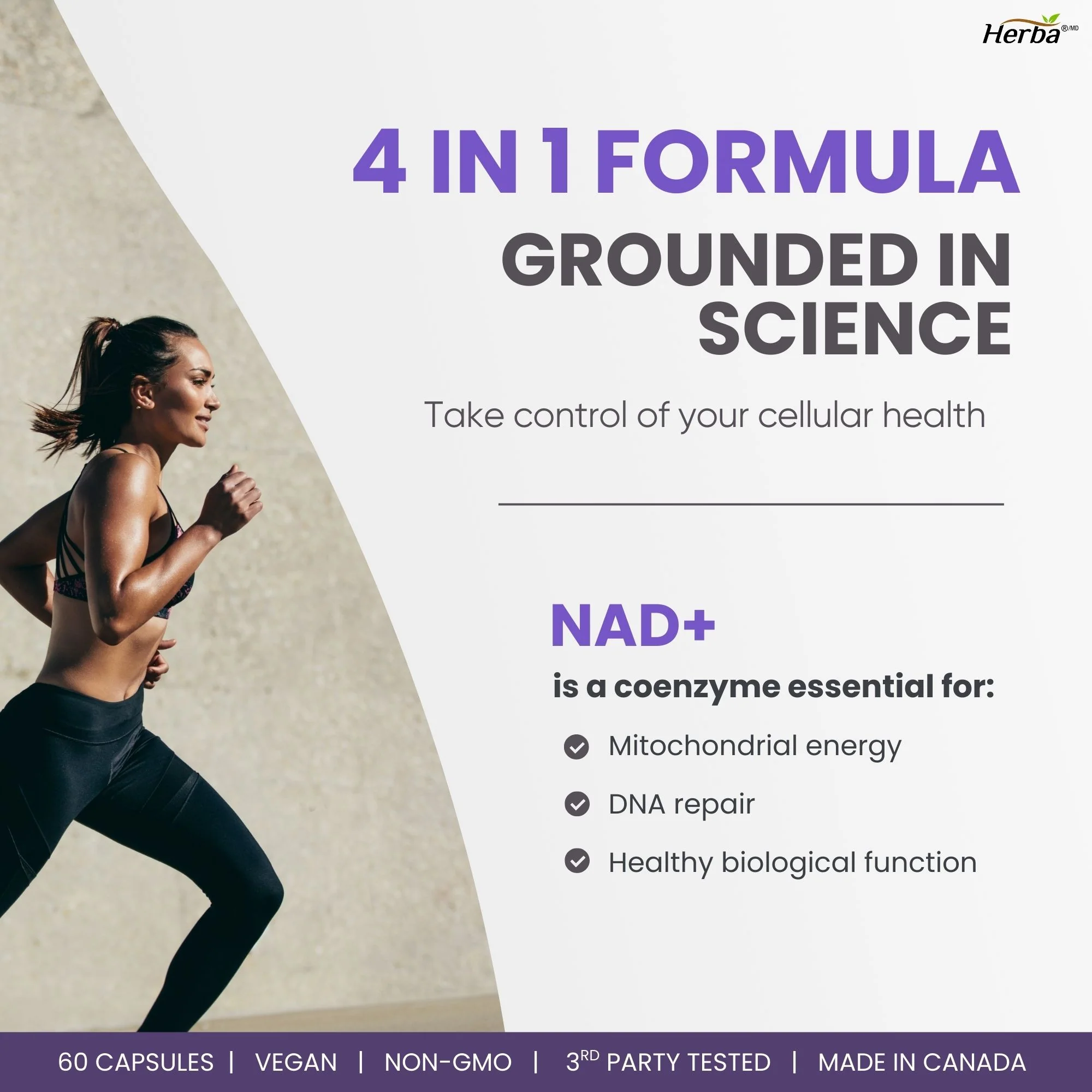 NAD+ Supplement 550mg – 60 Capsules | 4-in-1 NAD Plus Total with Nicotinamide Riboside (NR), β-NMN, Resveratrol & Quercetin | Made in Canada - Image 6