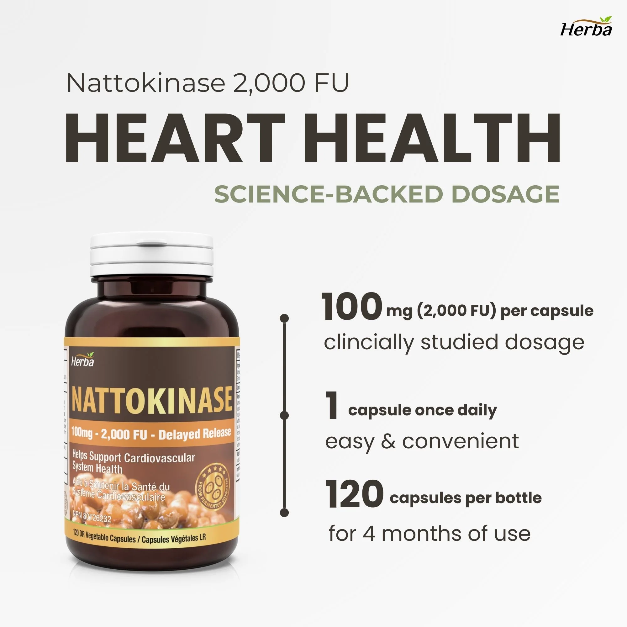 Nattokinase Supplement 2000 FU – 100mg, 120 Delayed Release Capsules - Image 3