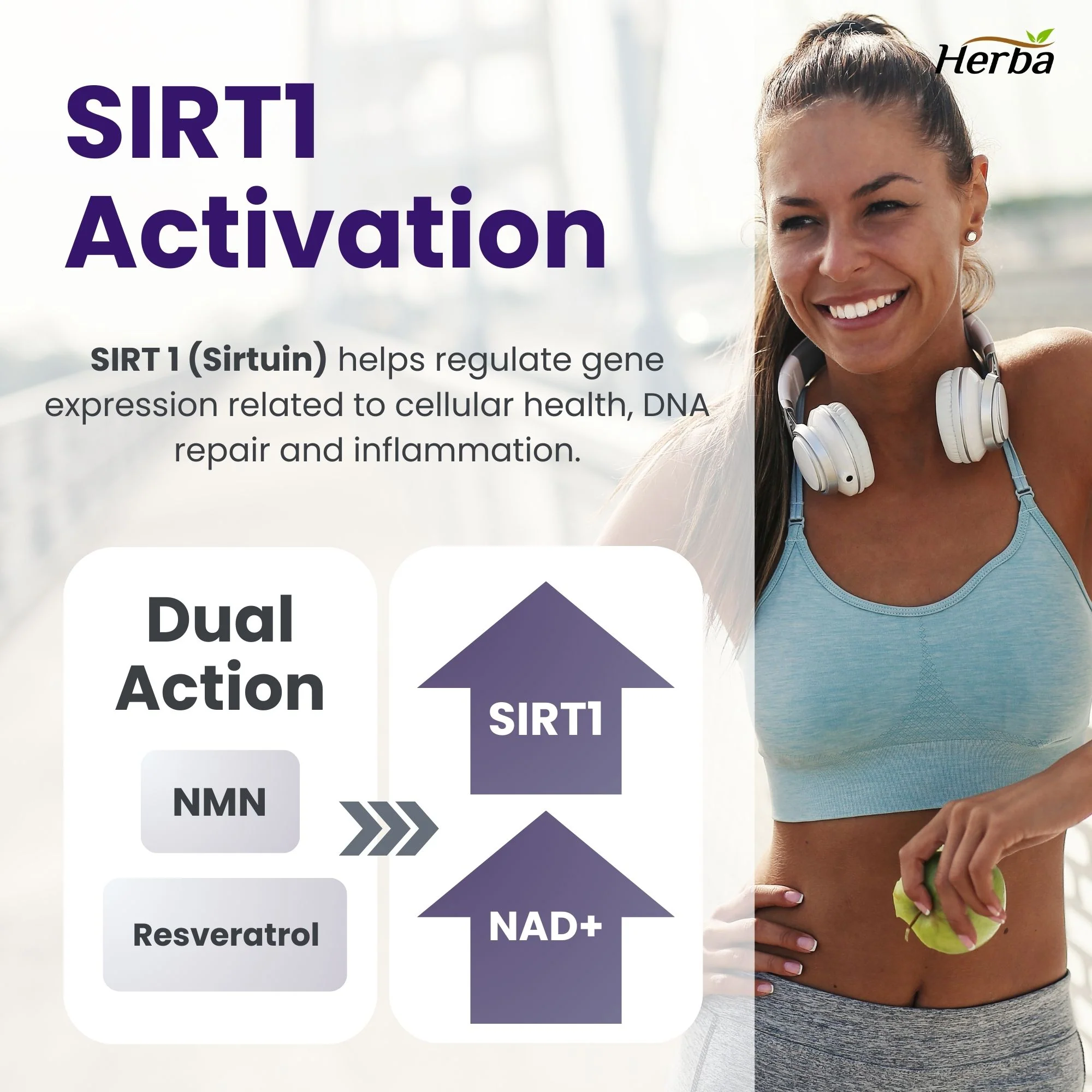 NMN Supplement + Resveratrol - 600mg | Made in Canada | 30 Vegetable Capsules - Image 6