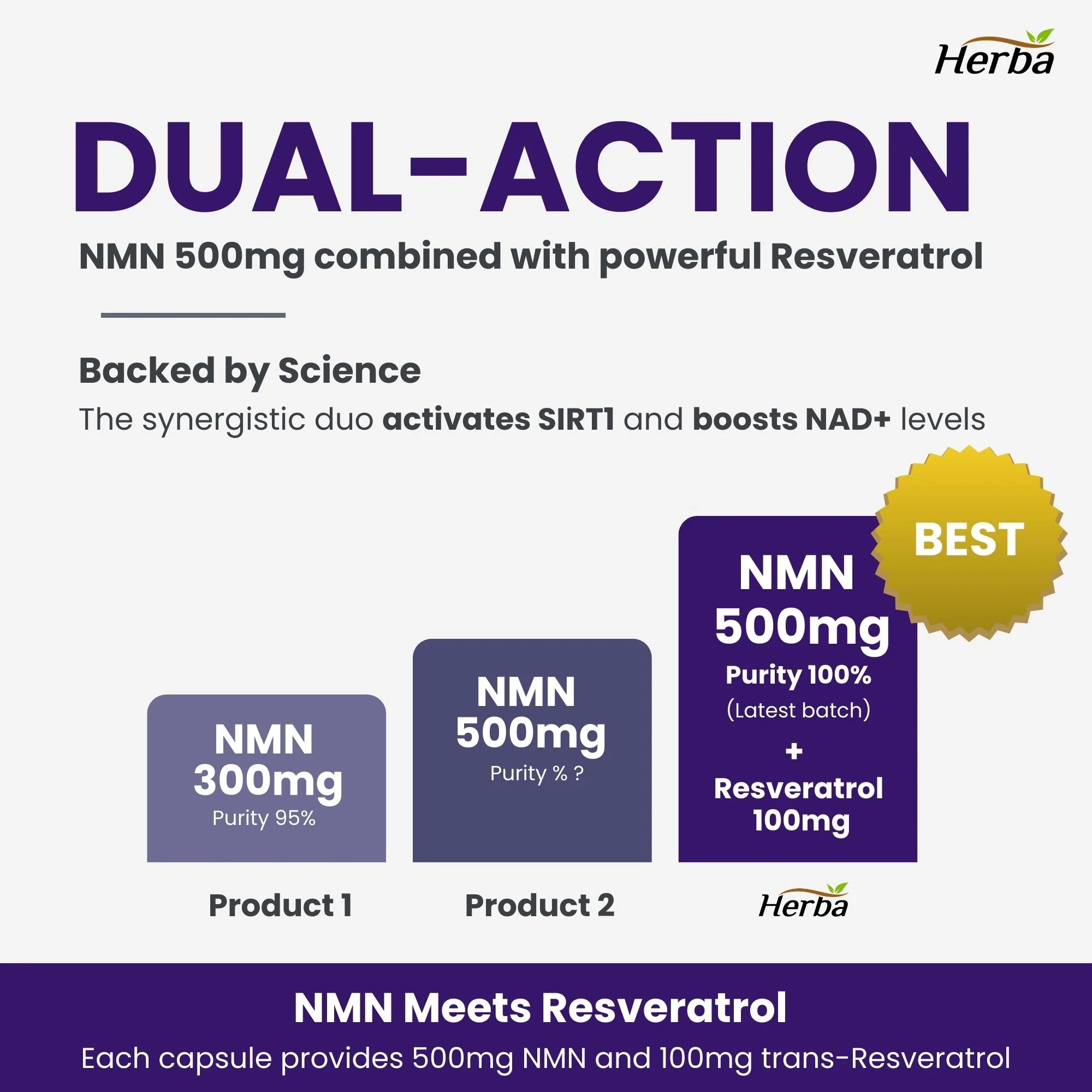 NMN Supplement + Resveratrol - 600mg | Made in Canada | 60 Vegetable Capsules - Image 4