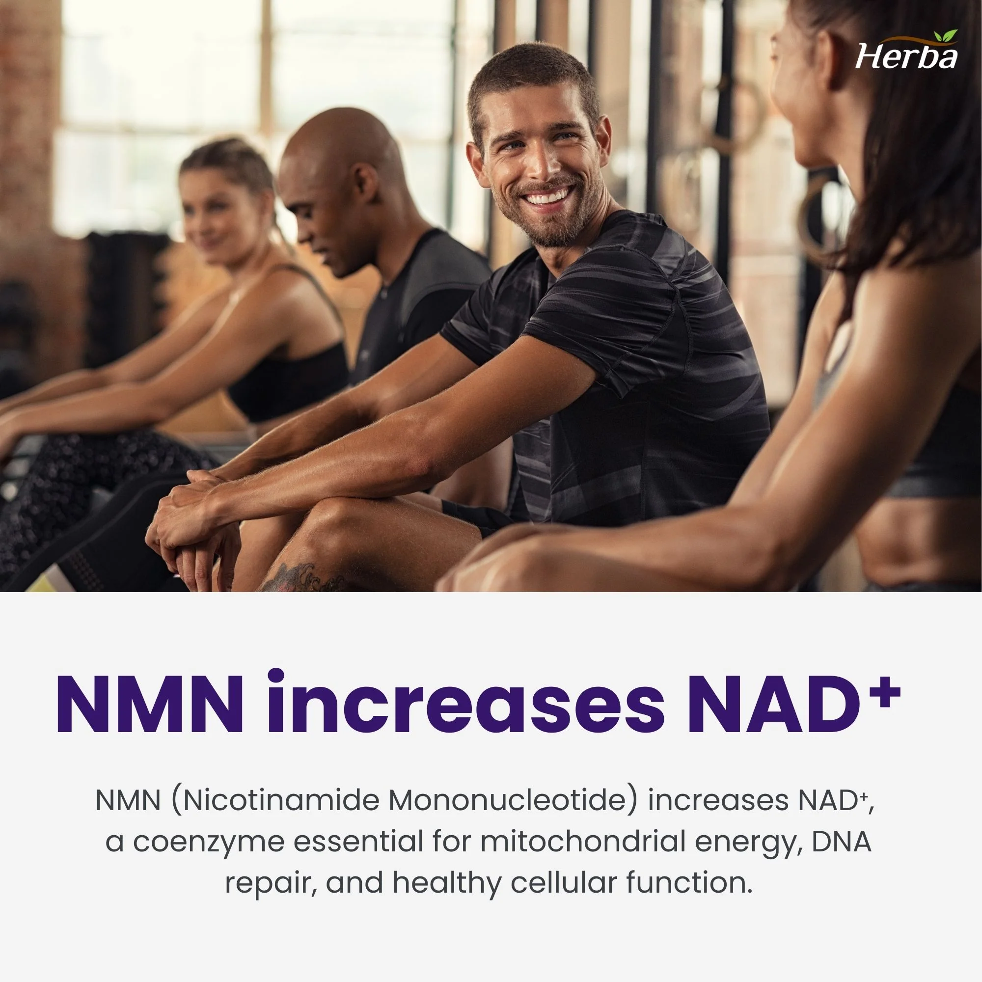 NMN Supplement + Resveratrol - 600mg | Made in Canada | 60 Vegetable Capsules - Image 5