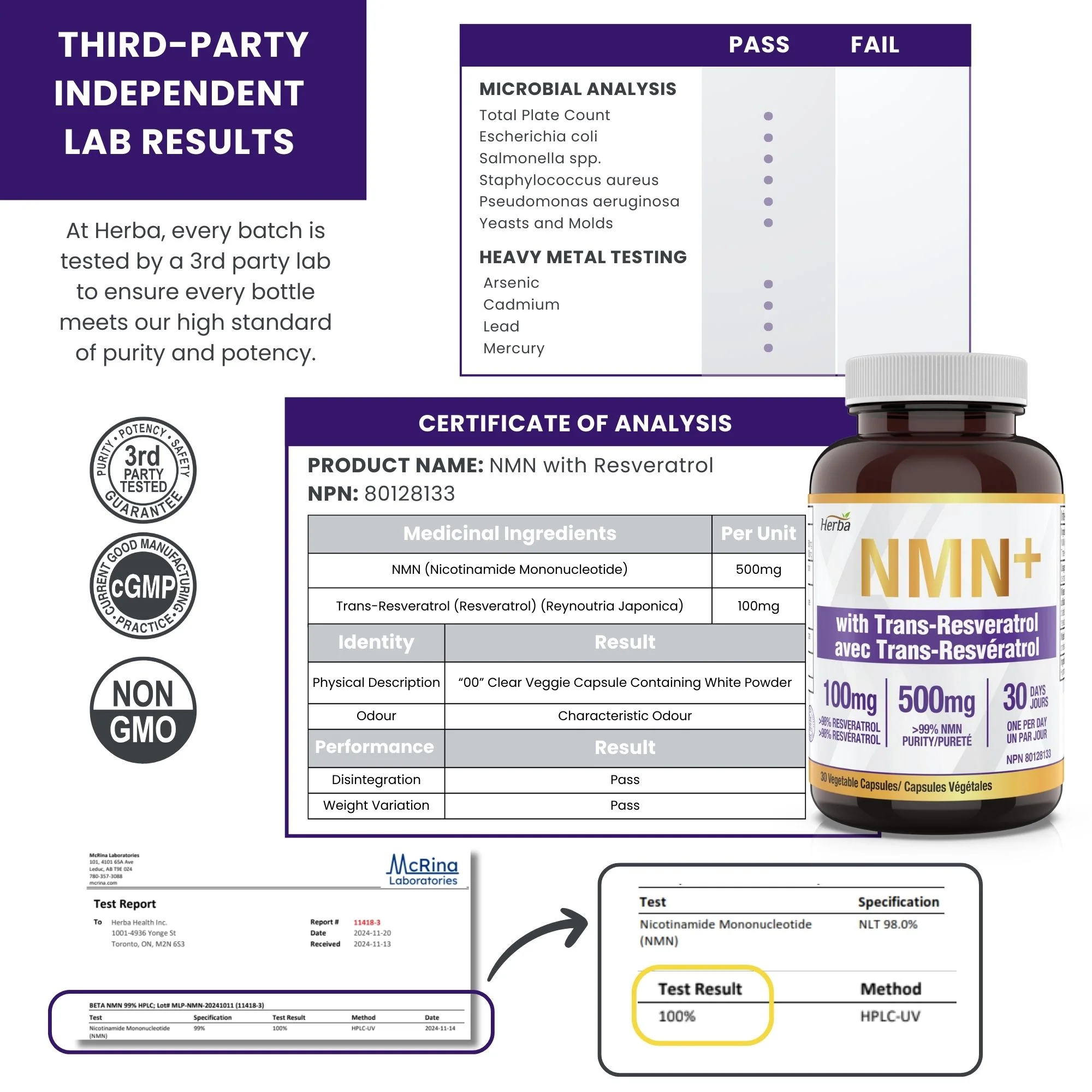 NMN Supplement + Resveratrol - 600mg | Made in Canada | 30 Vegetable Capsules - Image 8