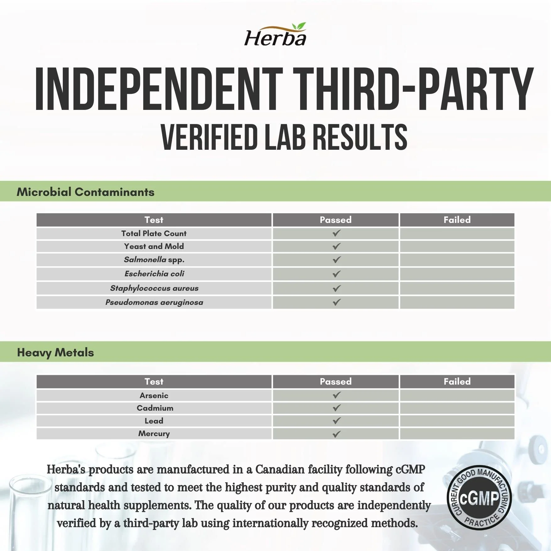 Organic Holy Basil Capsules – 350mg | 120 Vegetable Capsules - Image 3