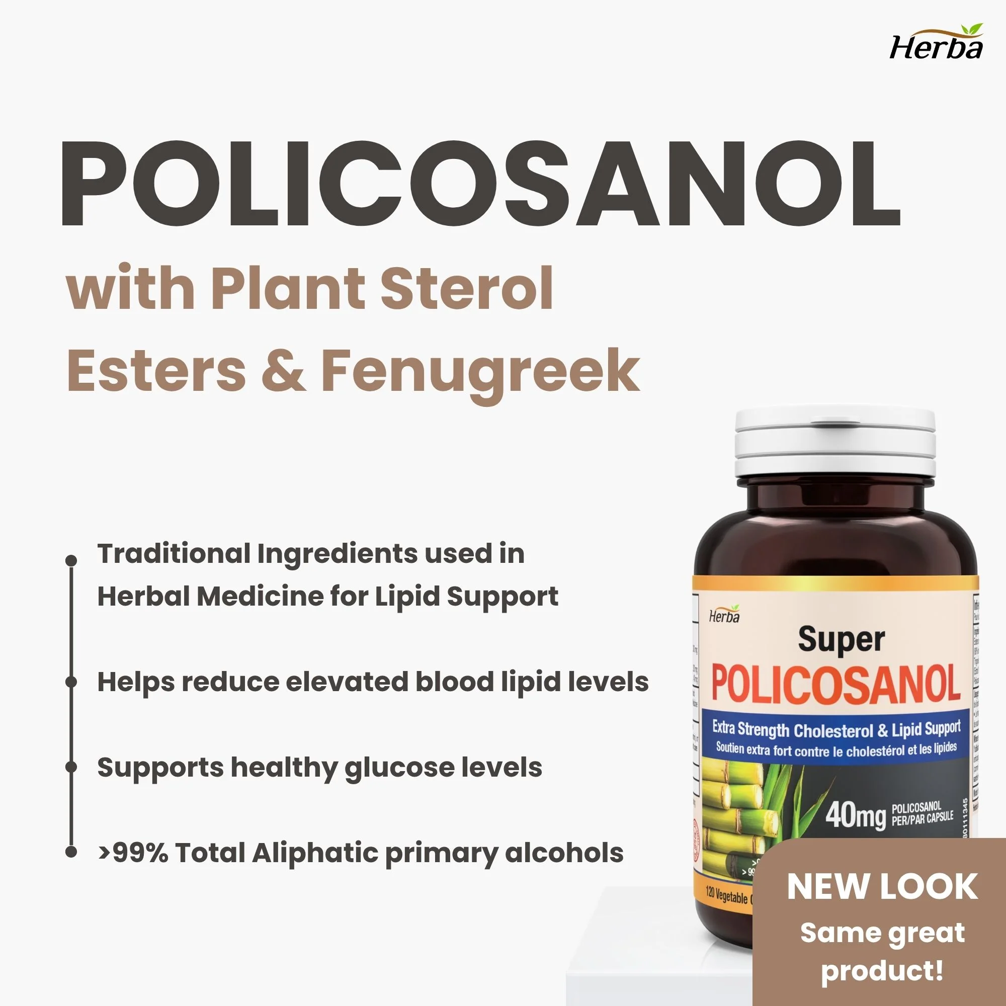 Policosanol 40mg with Fenugreek and Plant Sterol Esters - 120 Vegetable Capsules - Image 5