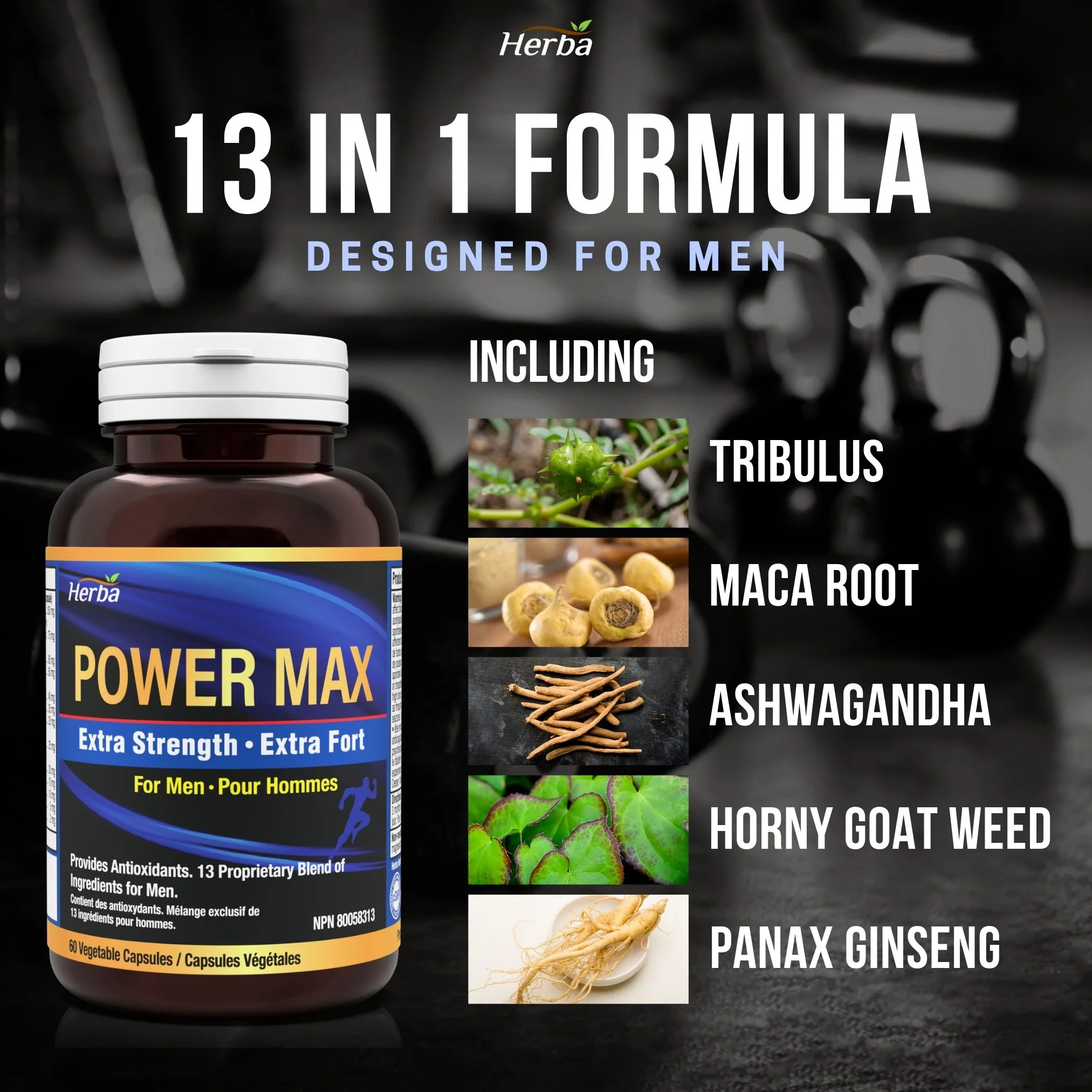 Power Max - 60 Capsules | Tongkat Ali, Maca, Tribulus, Panax Ginseng and 9 Other Ingredients - Image 4