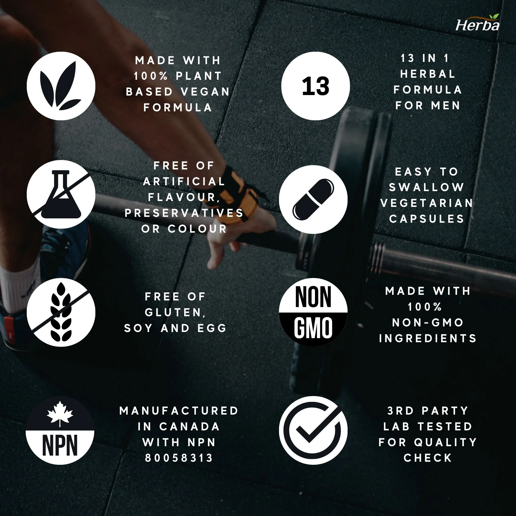 Power Max - 60 Capsules | Tongkat Ali, Maca, Tribulus, Panax Ginseng and 9 Other Ingredients - Image 5