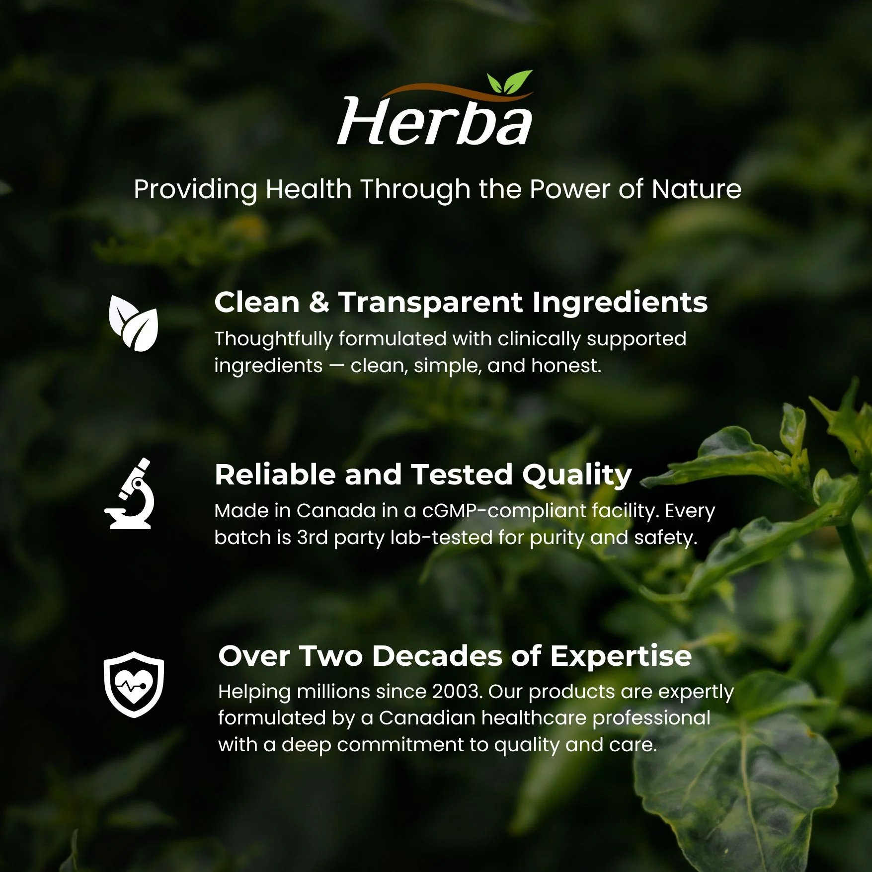 Power Max - 60 Capsules | Tongkat Ali, Maca, Tribulus, Panax Ginseng and 9 Other Ingredients - Image 9