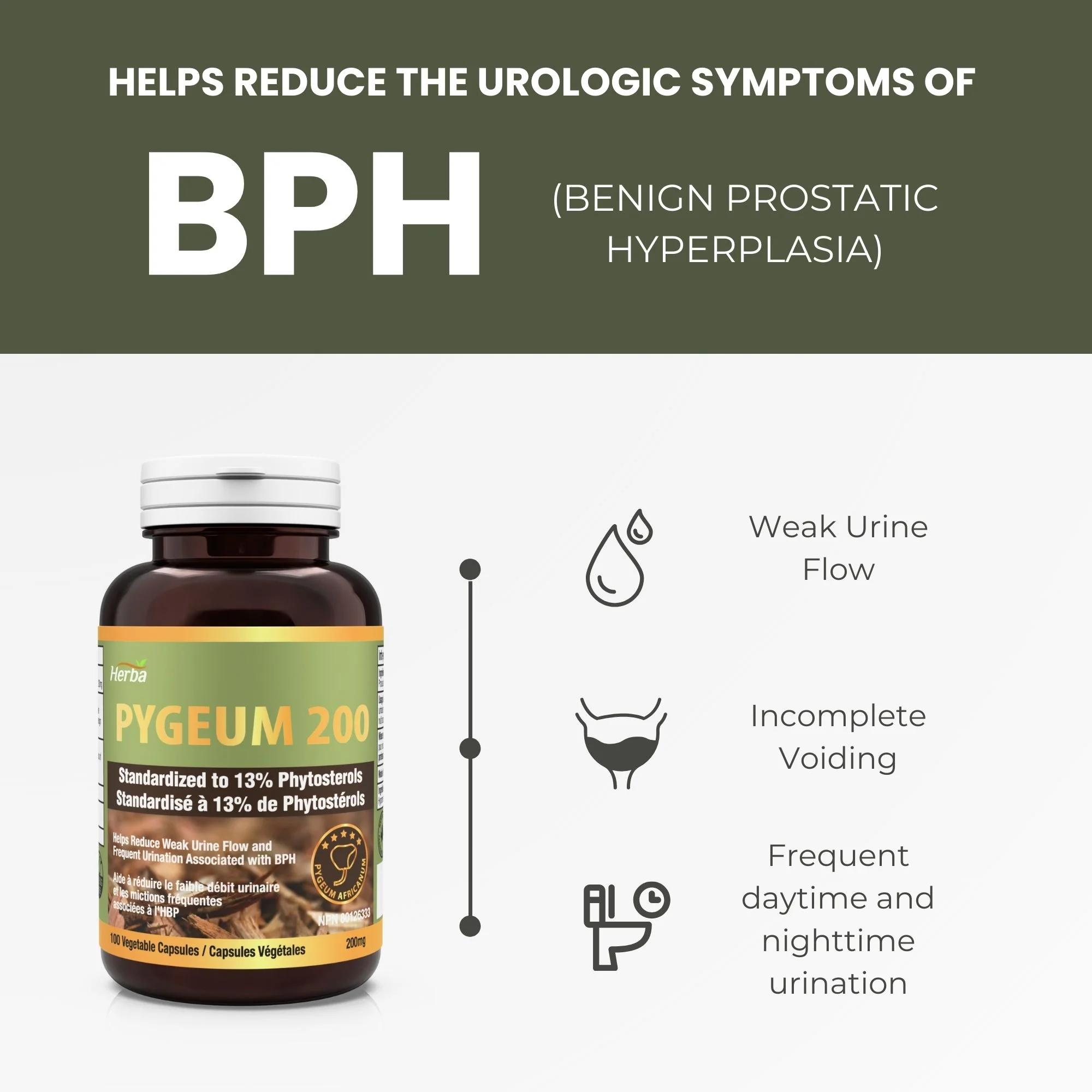 Pygeum Supplement 200mg – 100 Capsules | Made in Canada - Image 4