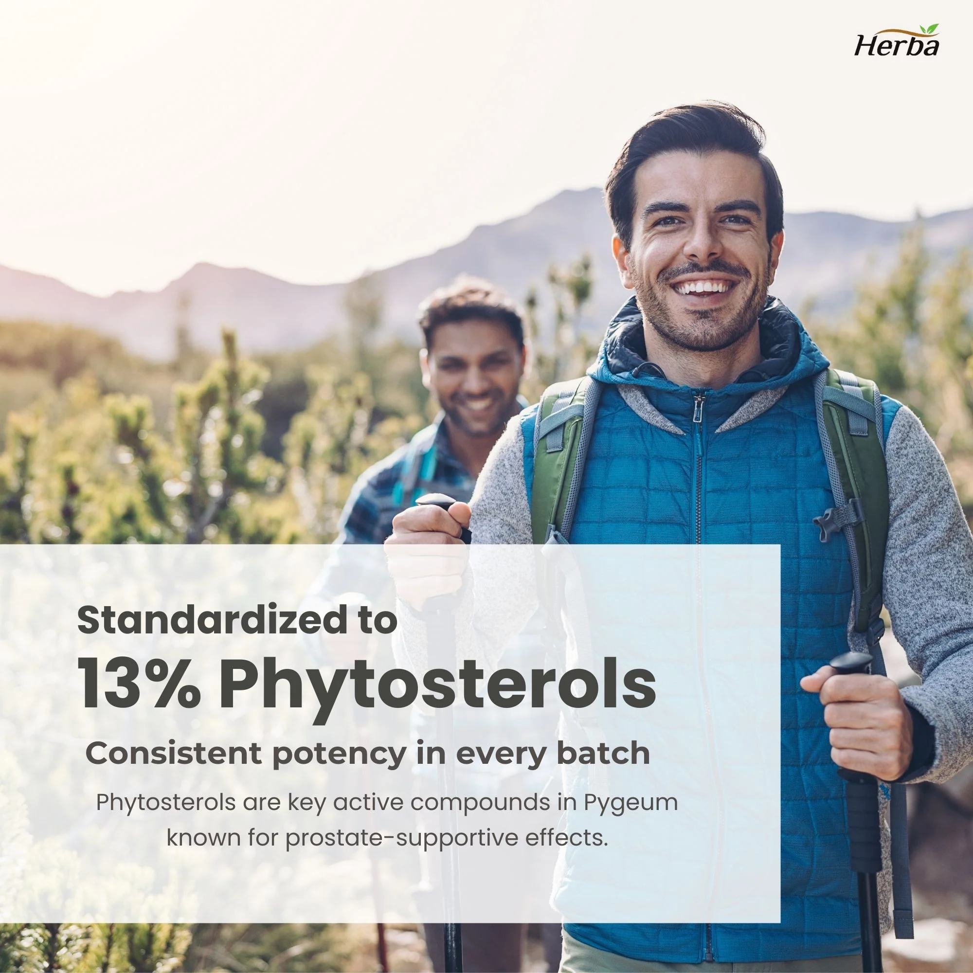 Pygeum Supplement 200mg – 100 Capsules | Made in Canada - Image 6