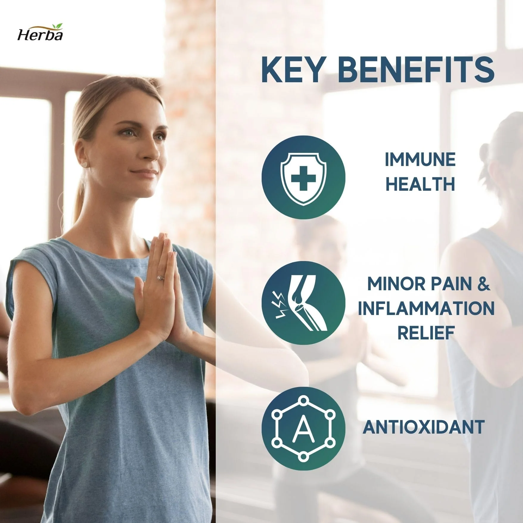 Quercetin with Bromelain, Zinc & Copper - 180 Capsules - Image 7