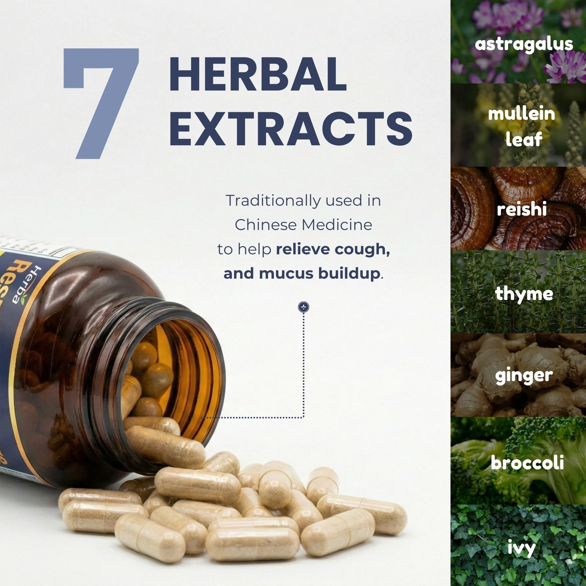 Respiratory Care - 120 Capsules | Lung Supplement with Mullein Leaf Extract | Made in Canada - Image 4