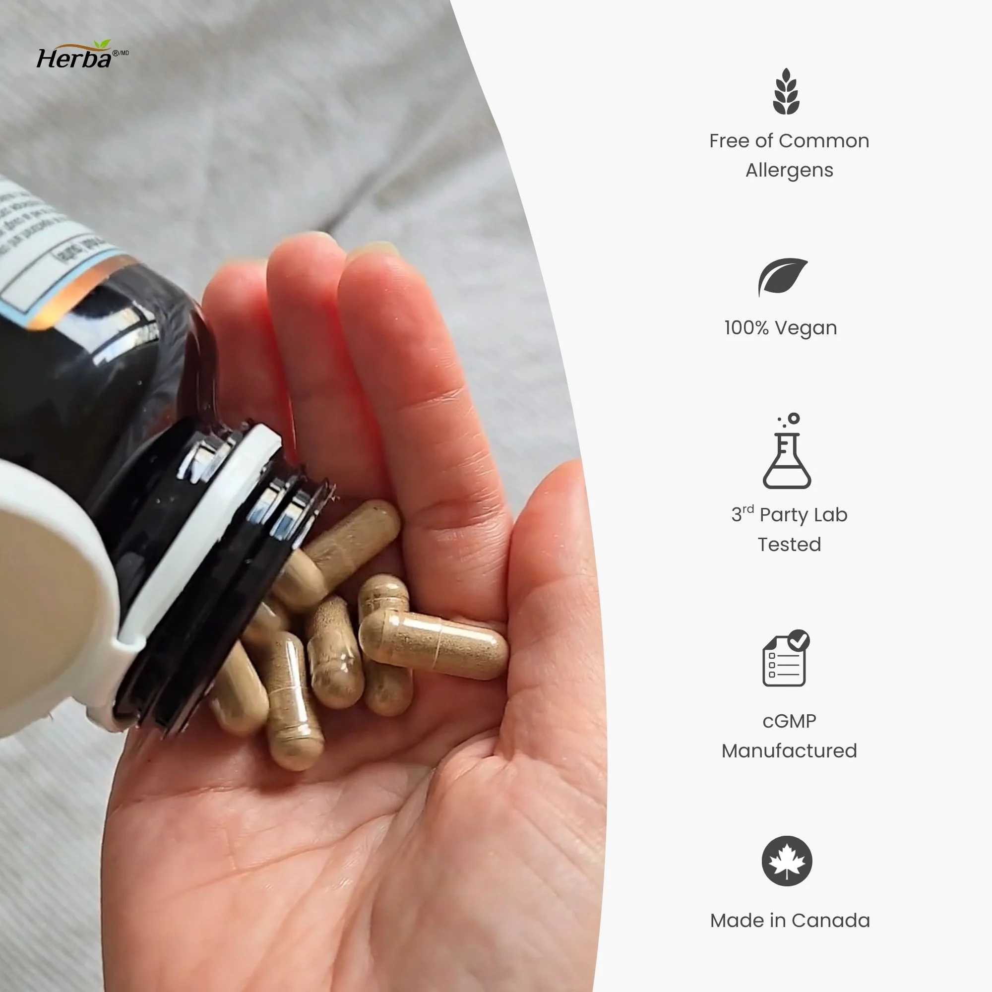 Respiratory Care - 120 Capsules | Lung Supplement with Mullein Leaf Extract | Made in Canada - Image 6