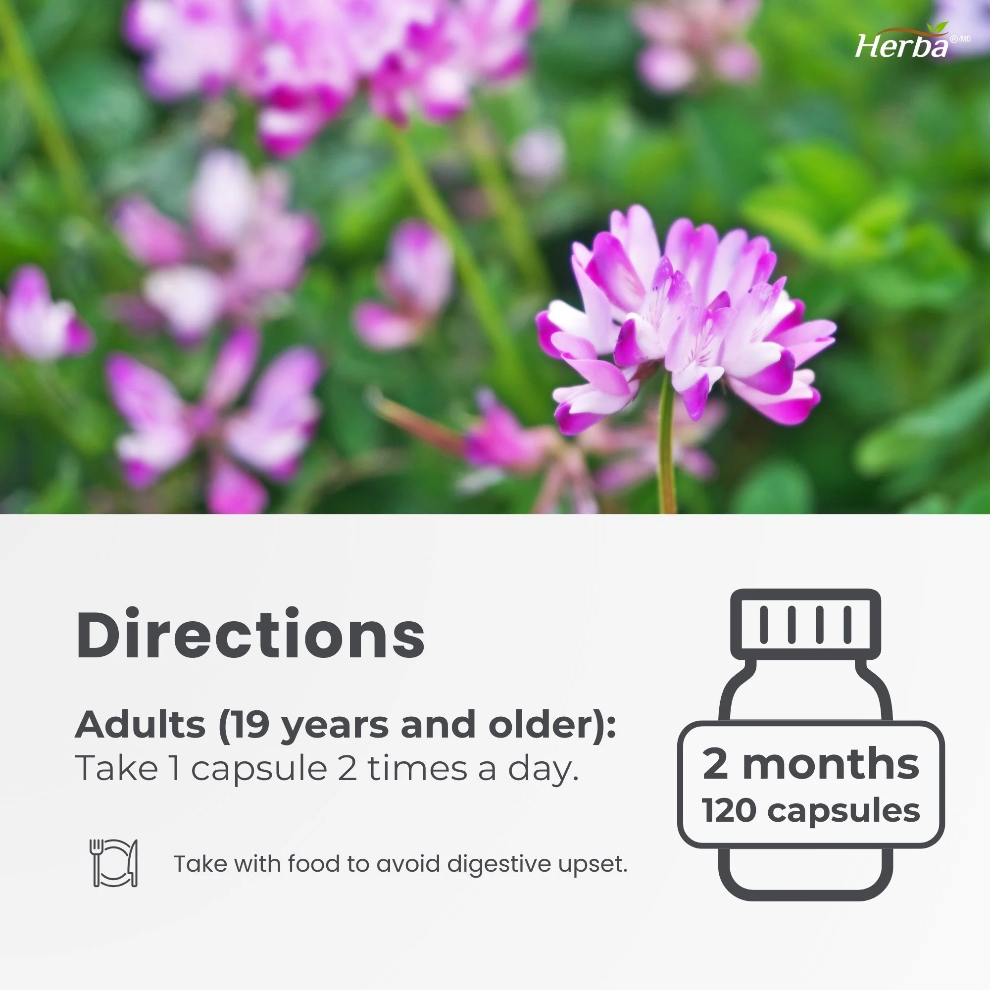 Respiratory Care - 120 Capsules | Lung Supplement with Mullein Leaf Extract | Made in Canada - Image 7