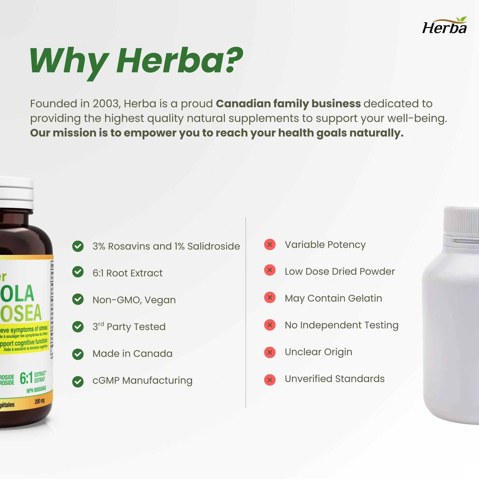 Rhodiola Rosea Supplement 200mg - 90 Vegetable Capsules | Made in Canada – 3% Rosavins and 1% Salidrosides - Image 4