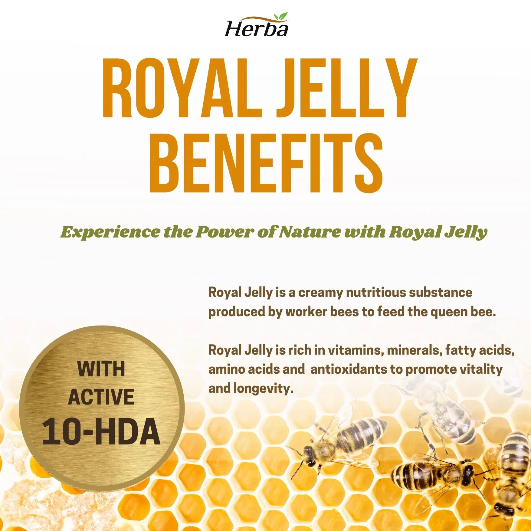 Herba's Royal Jelly Capsules 1000mg - 200 Softgels | Made in Canada - Image 5