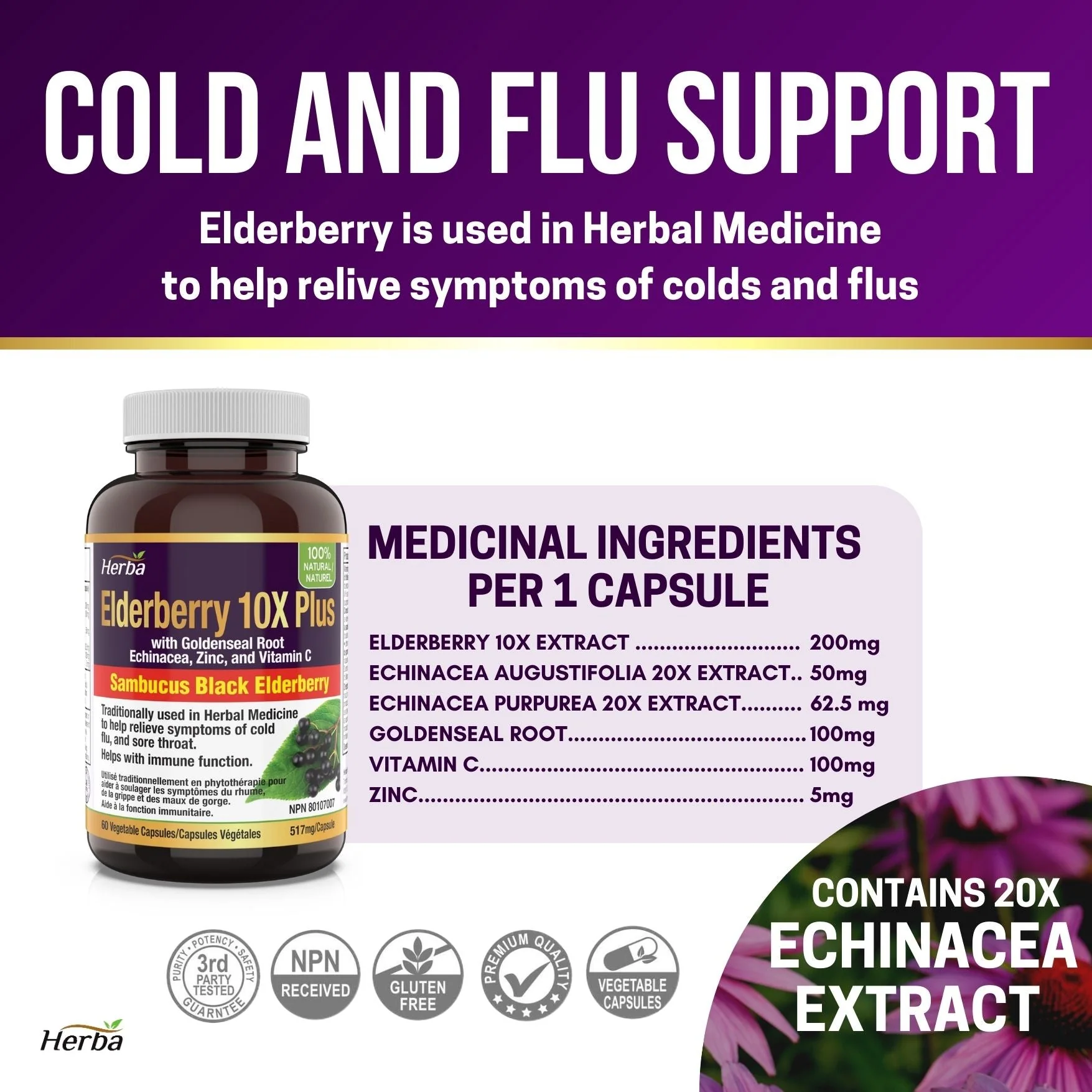 Sambucus Black Elderberry Capsules – 2,000mg Equivalent | 10:1 Extract with Echinacea and Goldenseal Root, Vitamin C, and Zinc - Image 10