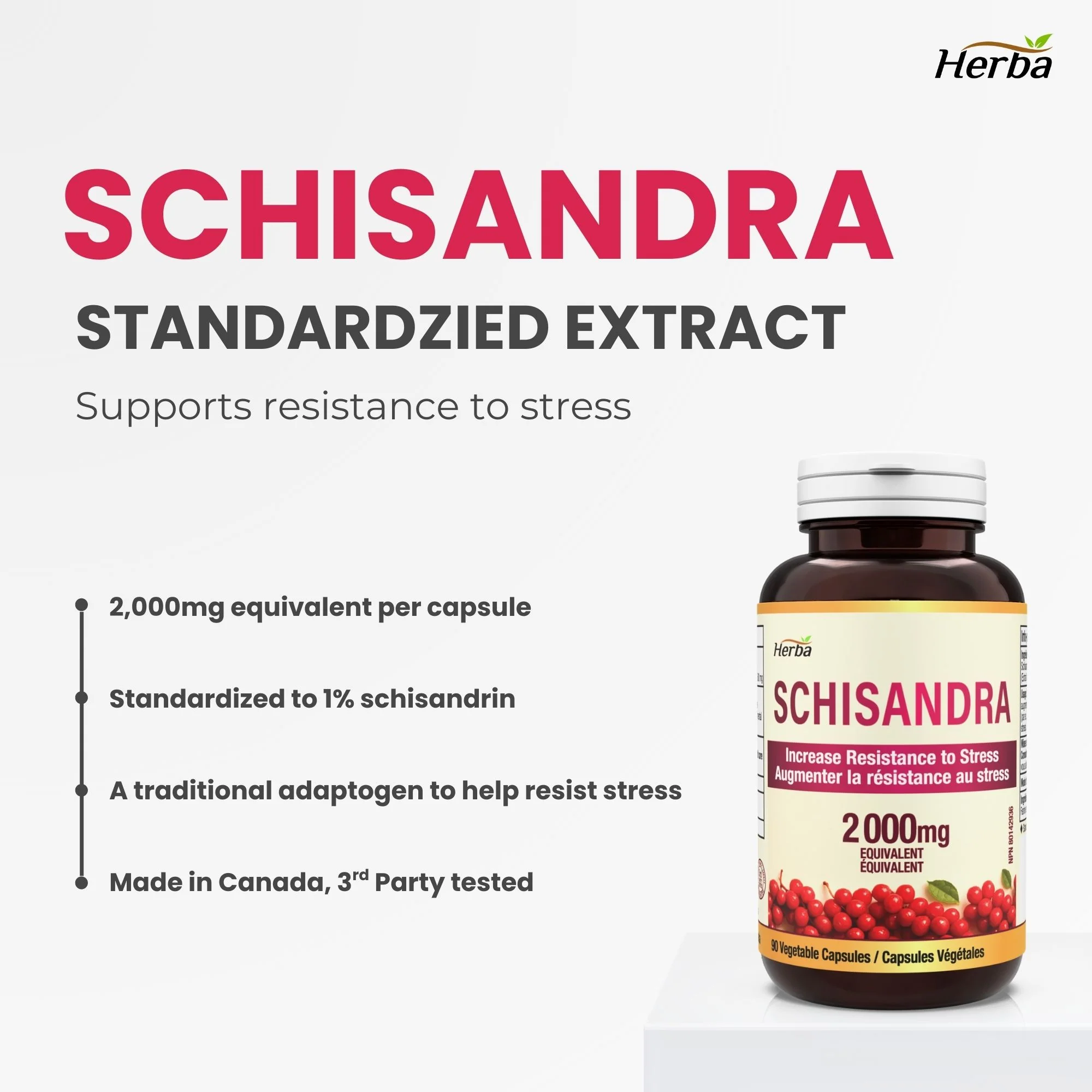 Schisandra Supplement – 90 Capsules | 4:1 Extract – 2,000mg Equivalent Schisandra Berry | Made in Canada - Image 3