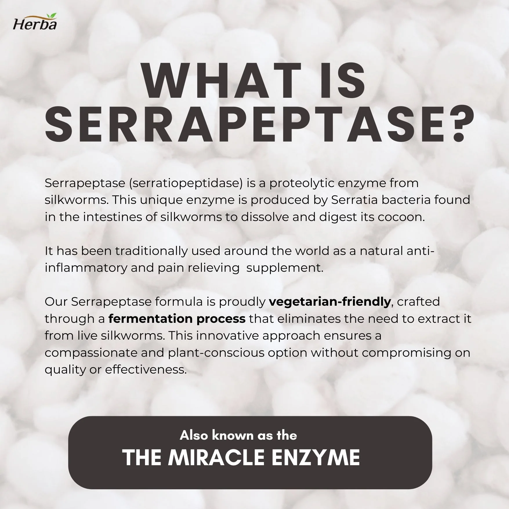 Serrapeptase 120,000 SU - 90 Vegetable Capsules - Image 8