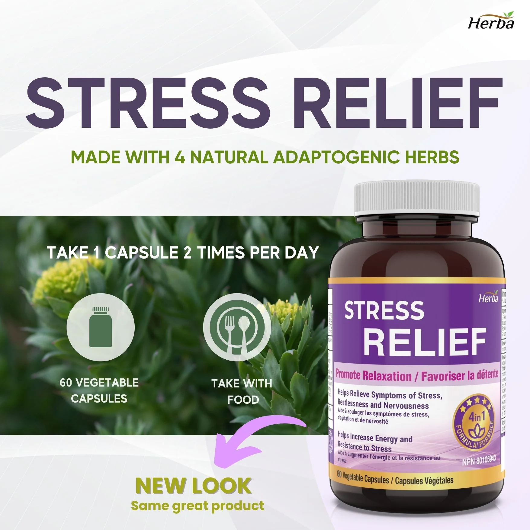 Natural Stress and Sleep Aids for Adult - Melatonin Free - 60 Capsules - Image 3