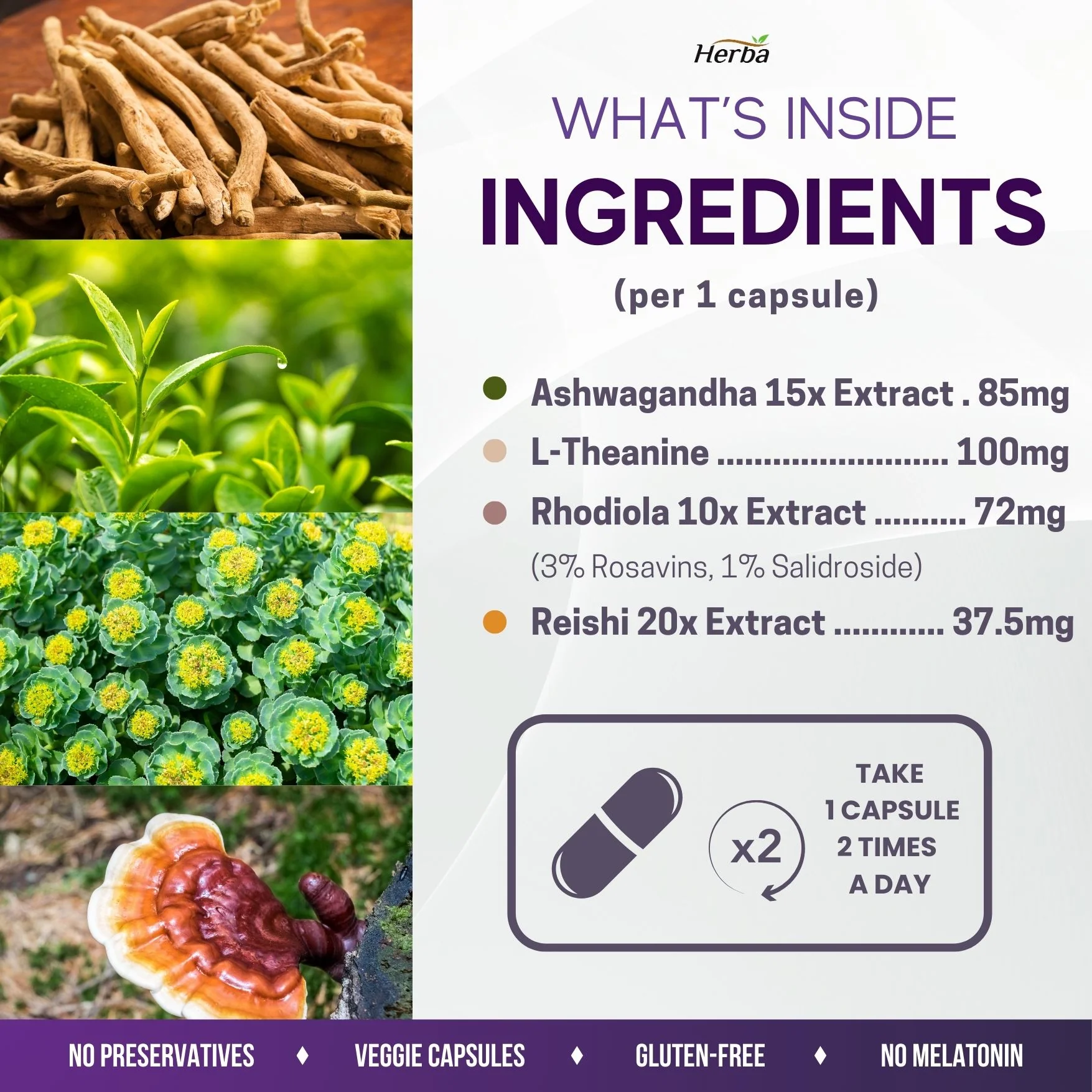 Natural Stress and Sleep Aids for Adult - Melatonin Free - 60 Capsules - Image 5