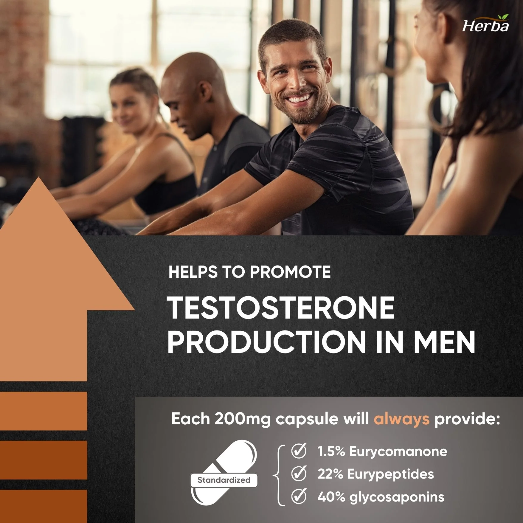 Pure Tongkat Ali Supplement for Men 200mg – 90 Capsules | Indonesian Tongkat-ali  Extract | Made in Canada - Image 4