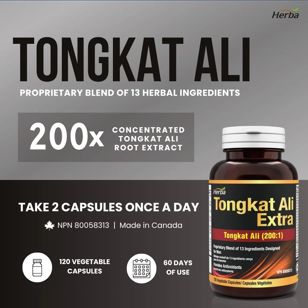 Tongkat Ali Supplement 200:1 - Made in Canada | 120 Capsules | Proprietary Blend including 10,000mg Equivalent of Tongkat Ali Extract - Image 3