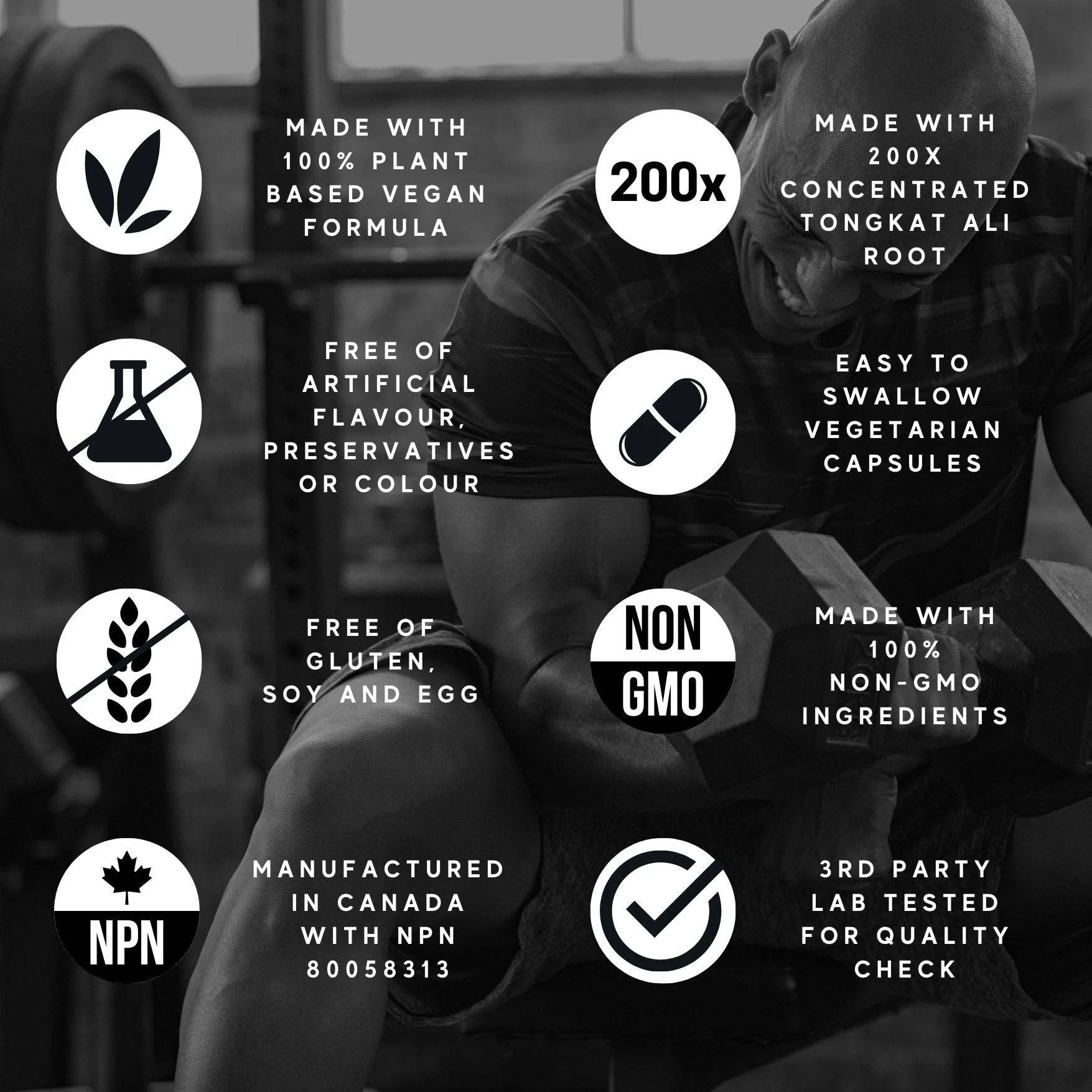 Tongkat Ali Supplement 200:1 - Made in Canada | 60 Capsules | Proprietary Blend including 10,000mg Equivalent of Tongkat Ali Extract - Image 7