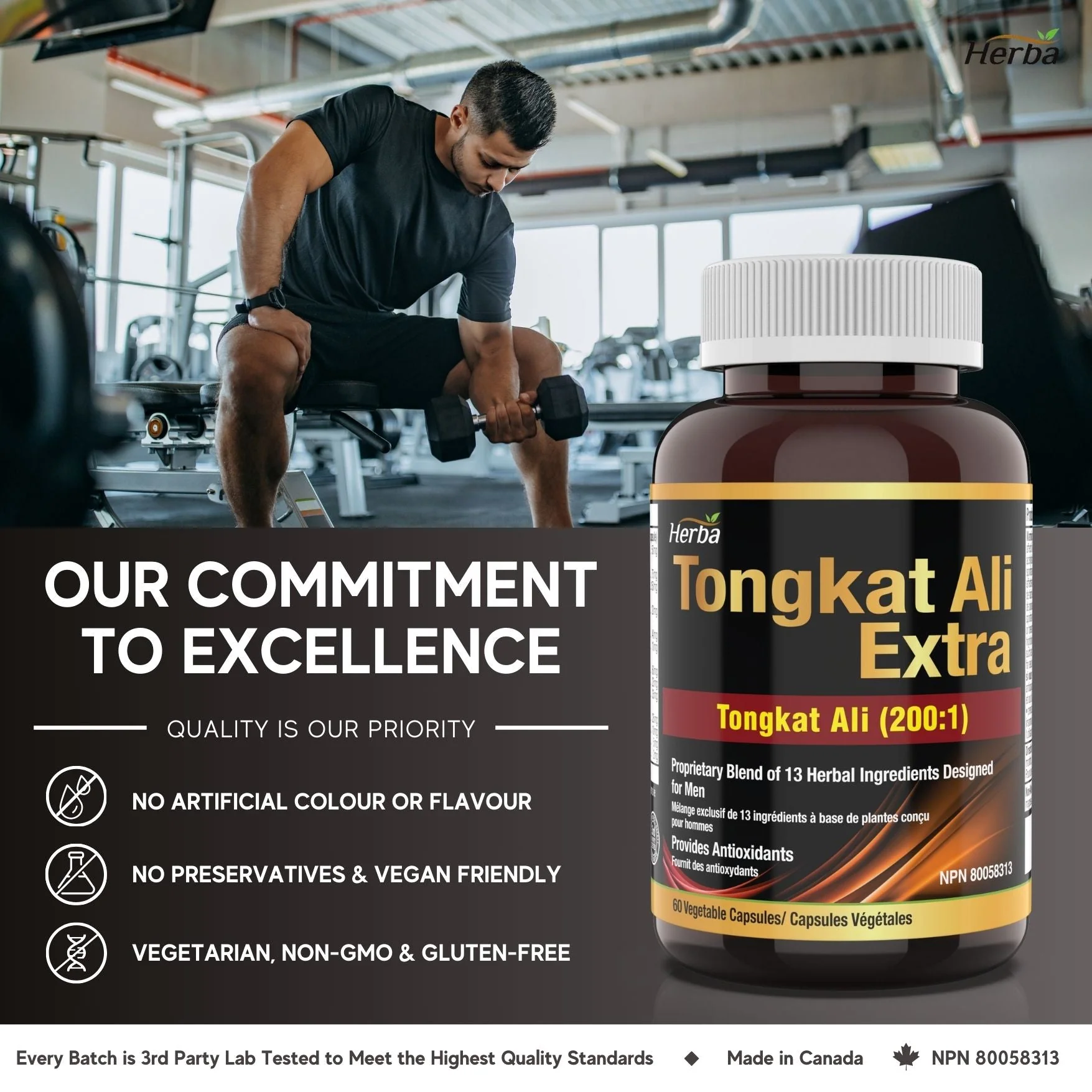 Tongkat Ali Supplement 200:1 - Made in Canada | 60 Capsules | Proprietary Blend including 10,000mg Equivalent of Tongkat Ali Extract - Image 8