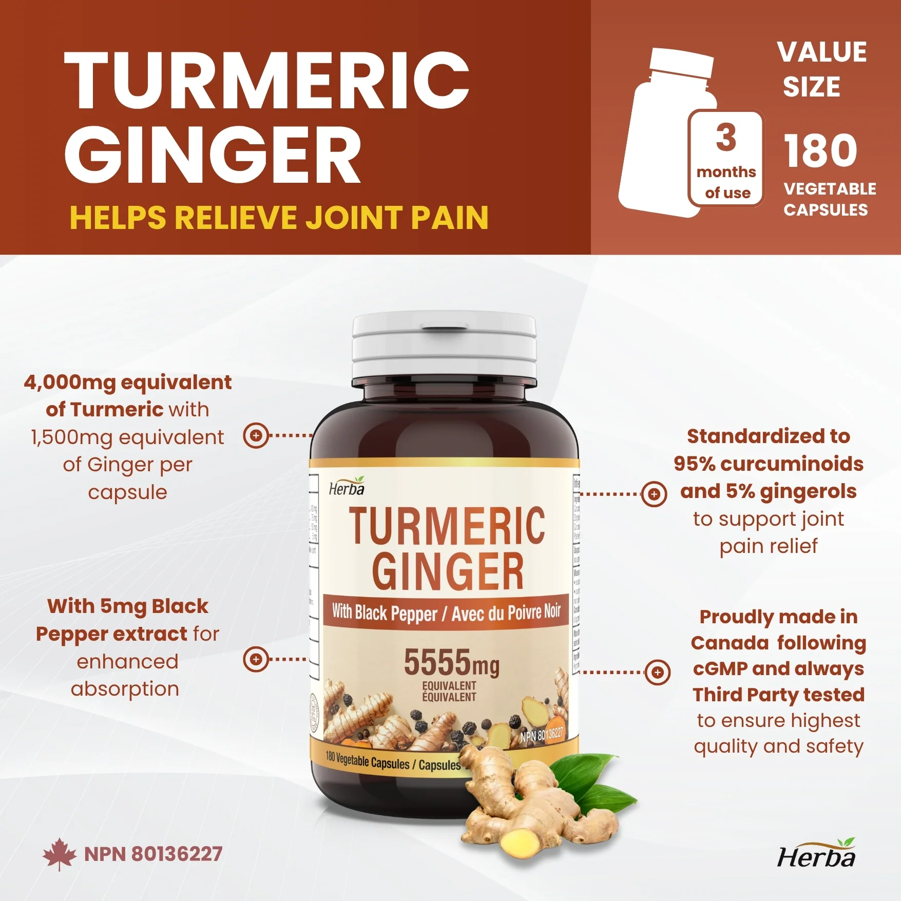 Turmeric with Black Pepper and Ginger - 180 Capsules | 5555mg Equivalent | Made in Canada - Image 3