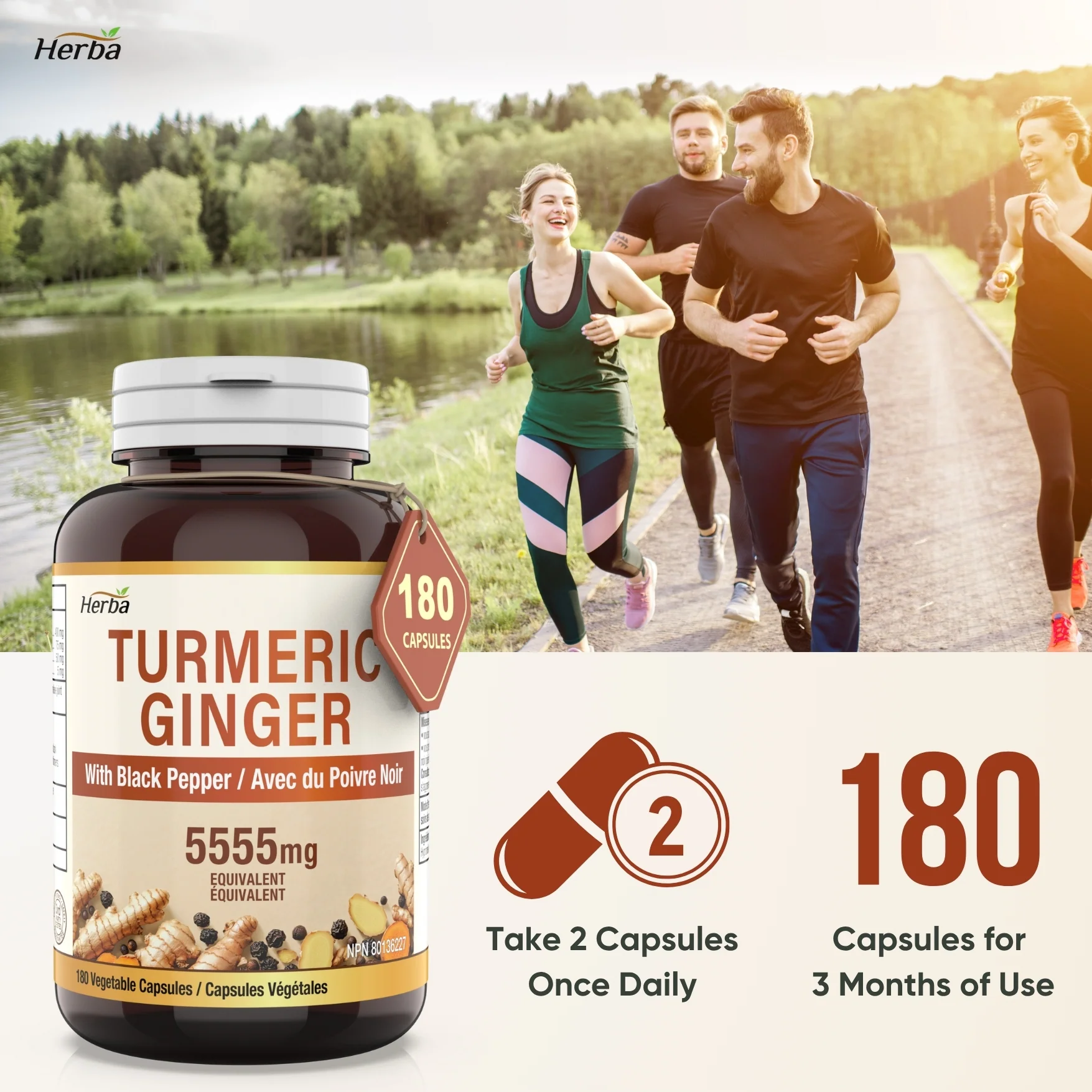 Turmeric with Black Pepper and Ginger - 180 Capsules | 5555mg Equivalent | Made in Canada - Image 4