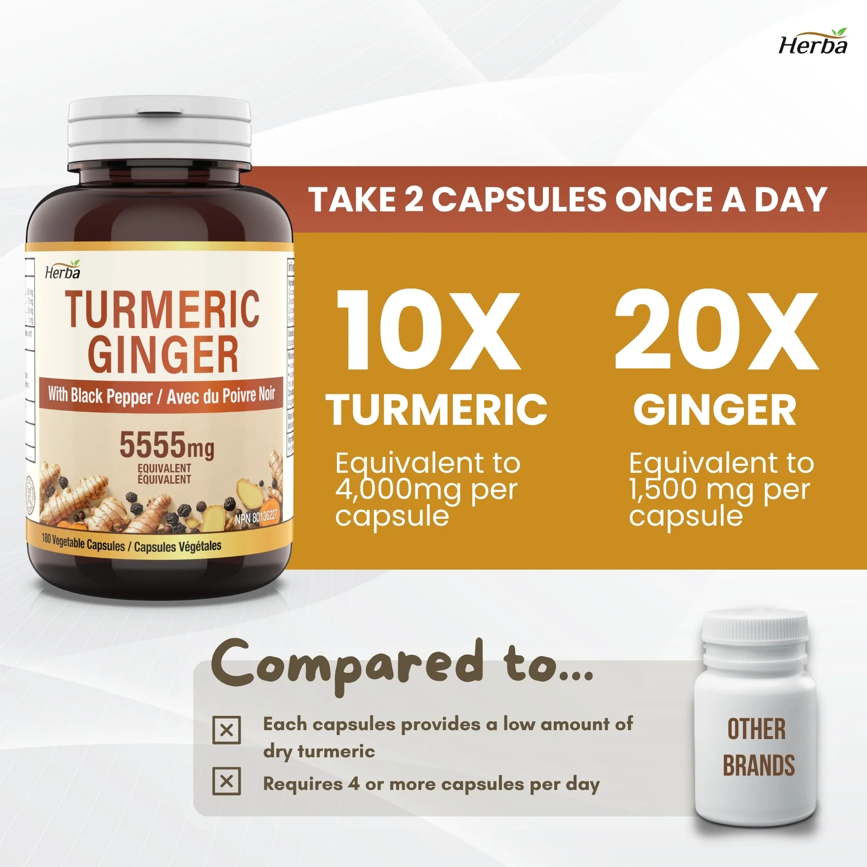 Turmeric with Black Pepper and Ginger - 180 Capsules | 5555mg Equivalent | Made in Canada - Image 5