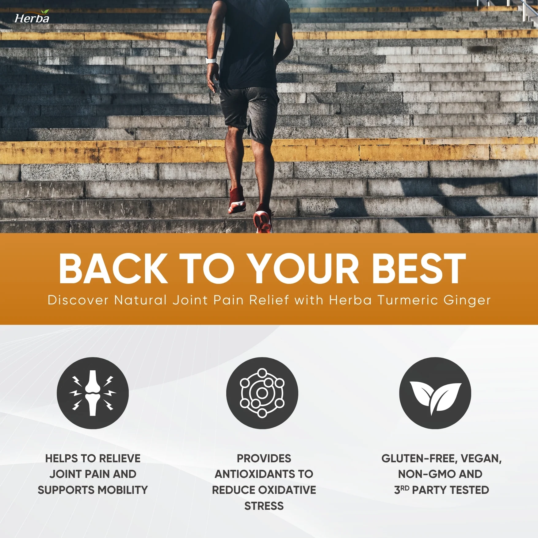 Turmeric with Black Pepper and Ginger - 180 Capsules | 5555mg Equivalent | Made in Canada - Image 6