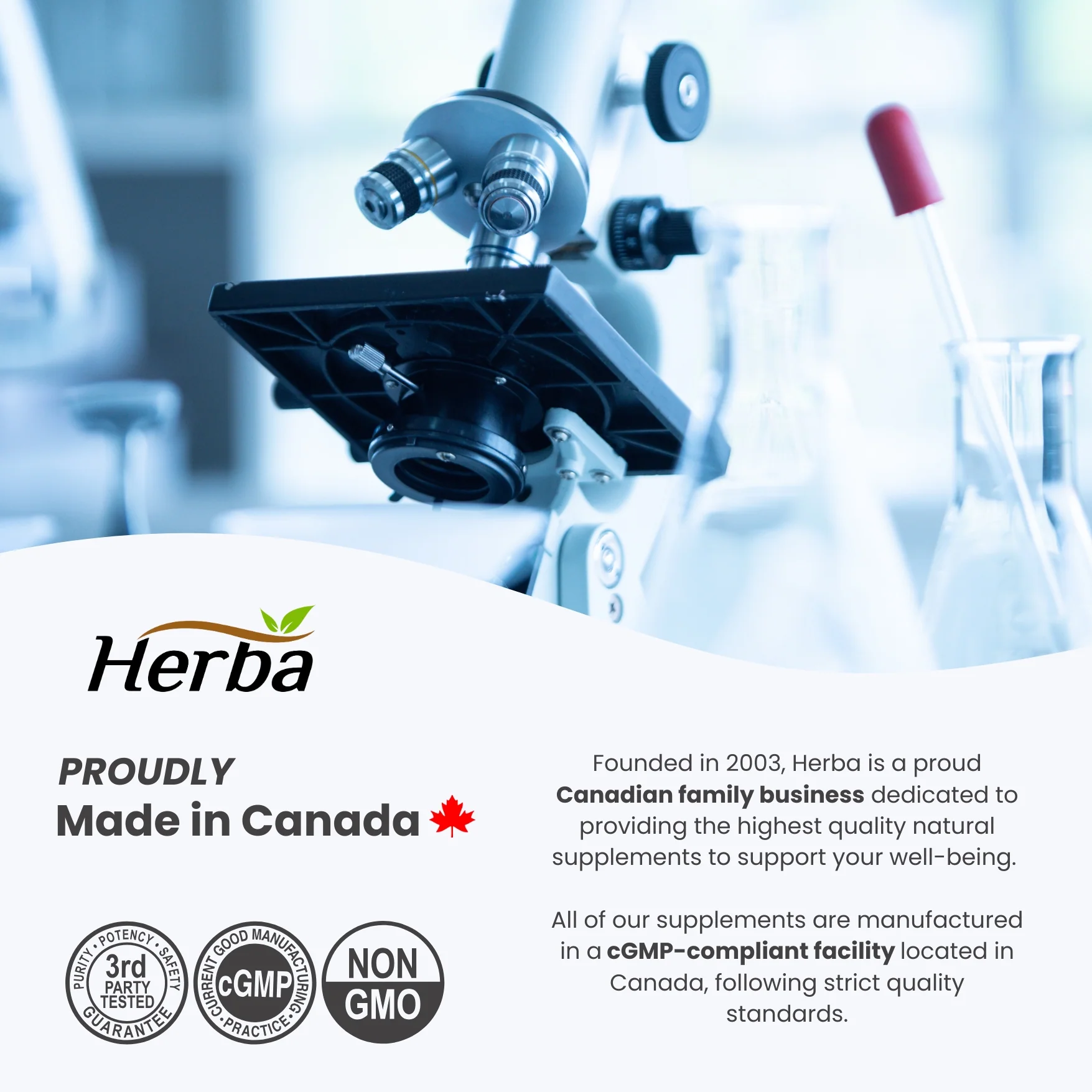 Turmeric with Black Pepper and Ginger - 180 Capsules | 5555mg Equivalent | Made in Canada - Image 7